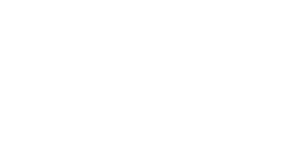 Texican Salsa Logo